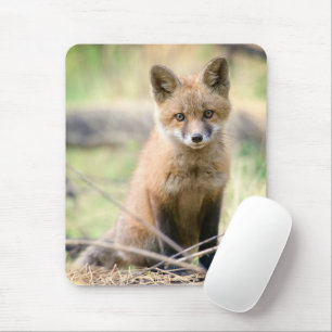 Mousepad Bebês Mais Pobres Raposa bebê