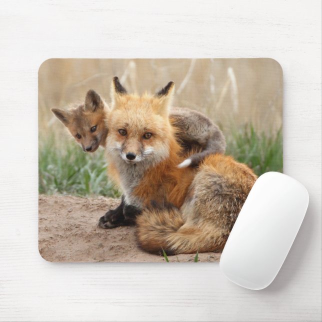 Mousepad Bebês Mais Pobres | Raposa vermelha e bebê (Com mouse)