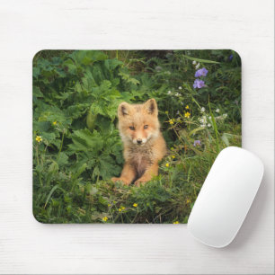 Mousepad Bebês Mais Pobres Red Fox em Umnak Alaska