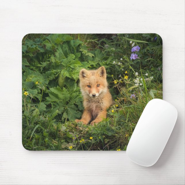 Mousepad Bebês Mais Pobres | Red Fox em Umnak Alaska (Com mouse)