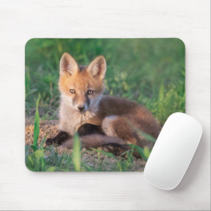 Mousepad Bebês Mais Pobres Relaxamento do Kit de Raposa V