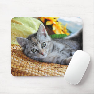 Mousepad Bebês Mais Pobres Salto de Kitten
