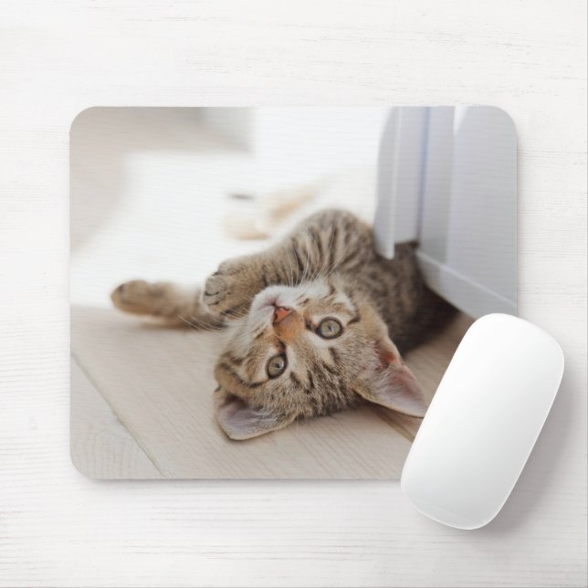 Mousepad Bebês Mais Pobres | Shorthair Tabby Kitten (Com mouse)