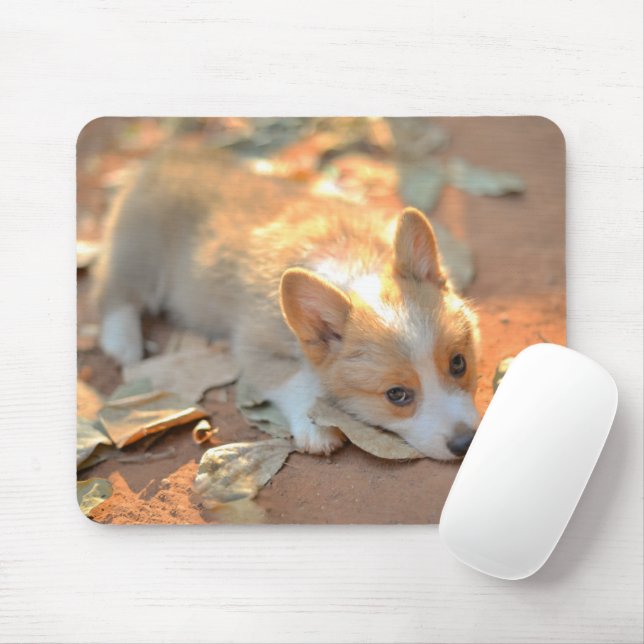 Mousepad Bebês Mais Pobres | Shy Corgi (Com mouse)