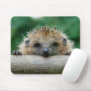 Mousepad Bebês Mais Pobres   Sorriso de porco