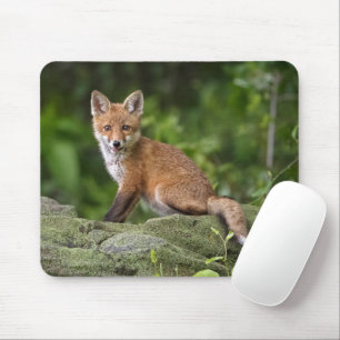 Mousepad Bebês Mais Pobres Sorriso De Raposa