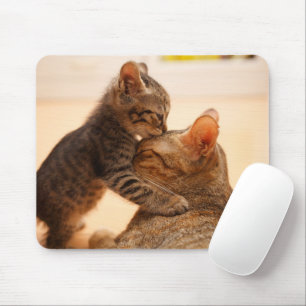 Mousepad Bebês Mais Pobres   Tabby Kitten Kiss