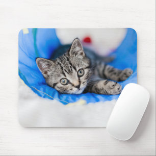 Mousepad Bebês Mais Pobres Tabby Kitten no Túnel Play