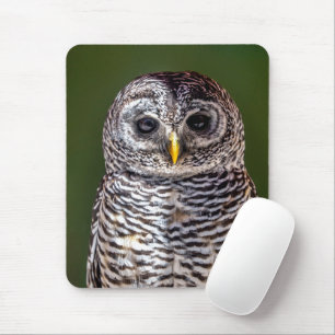 Mousepad Bebês Mais Pobres   Tawny Owl