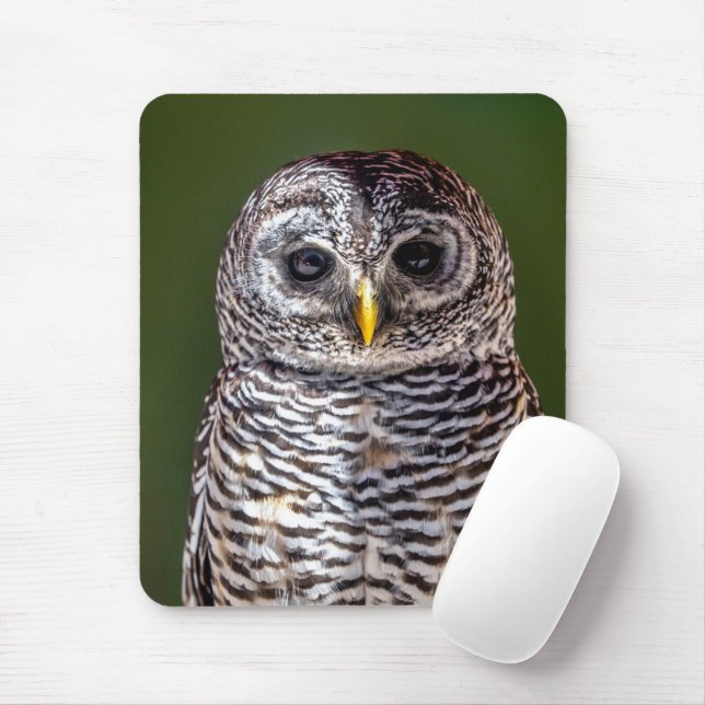 Mousepad Bebês Mais Pobres | Tawny Owl (Com mouse)