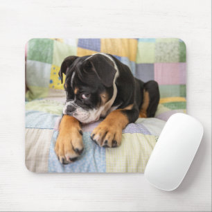 Mousepad Bebês Mais Pobres   Tímido Bulldog Inglês