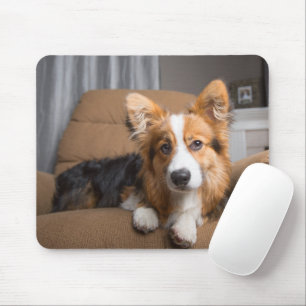 Mousepad Bebês Mais Pobres Torneiras de Corgi de Cabelo L