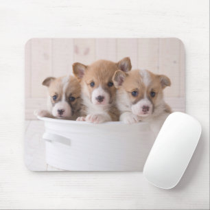 Mousepad Bebês Mais Pobres Torneiras de córgi em Pote