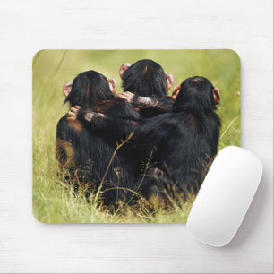 Mousepad Bebês Mais Pobres   Três Chimpanzés