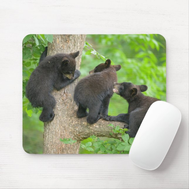 Mousepad Bebês Mais Pobres | Três Jovem Urso Negro (Com mouse)