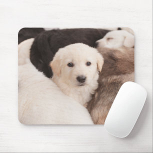 Mousepad Bebês Mais Pobres Uma pilha de aves