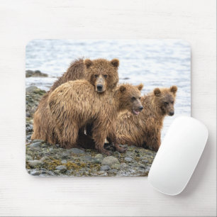 Mousepad Bebês Mais Pobres Ursos e Cubos