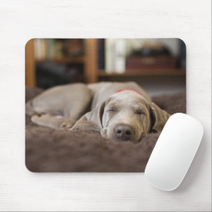 Mousepad Bebês Mais Pobres   Weimaraner Cãozinho Dormir
