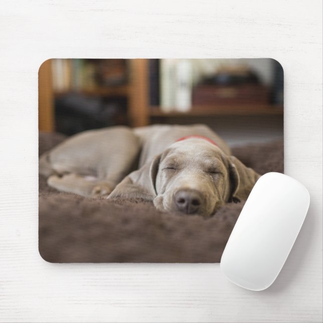 Mousepad Bebês Mais Pobres | Weimaraner Cãozinho Dormir (Com mouse)