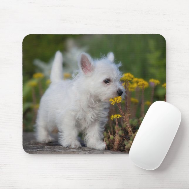 Mousepad Bebês Mais Pobres | West Highland White Terrier (Com mouse)