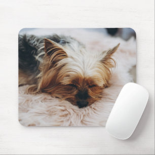Mousepad Bebês Mais Pobres   Yorkshire Terrier