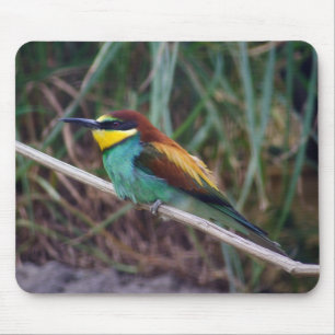 Mousepad Bee-eater europeu