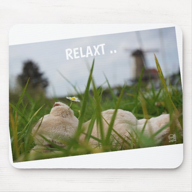 Mousepad Beer relaxt in natuur met Hollandse molen. (Frente)