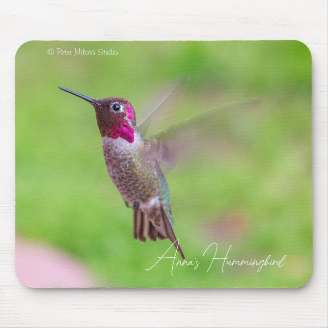 Mousepad Beija-flor-de-anna (Frente)