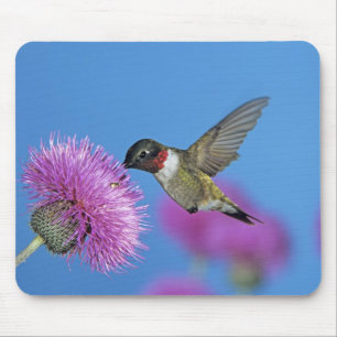 Mousepad Beija-flor-de-garganta-rubia