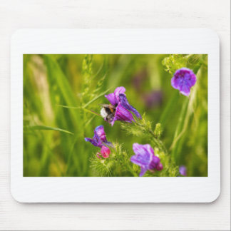 Mousepad Beija-Flor em Flor - Fotografia da Natureza e Inse
