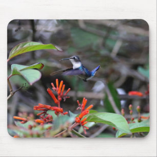 Mousepad Beija-flor em Voo e Flores Vermelhas