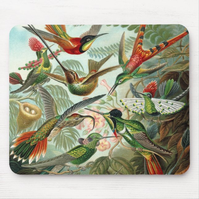 Mousepad Beija-flores por Ernst Haeckel, Árvores de Pássaro (Frente)