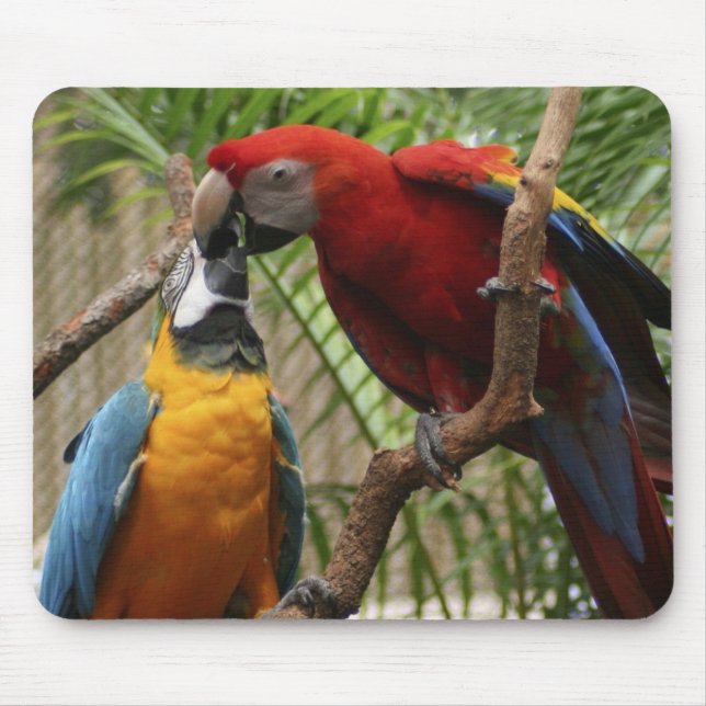 Mousepad Beijando Macaws (Frente)