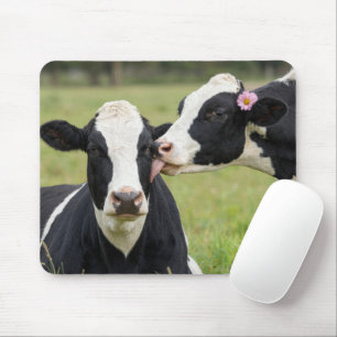 Mousepad Beijo de Vaca Holstein