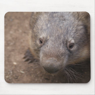 Mousepad Beijo de Wombat