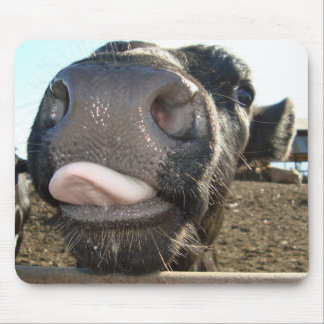 MOUSEPAD BEIJOS DO MOO