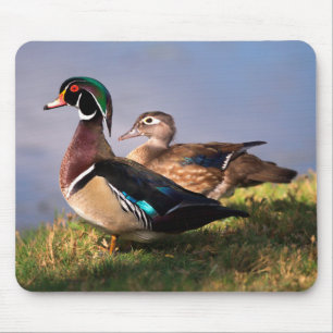 Mousepad Beira do Lago, Pato-de-wood