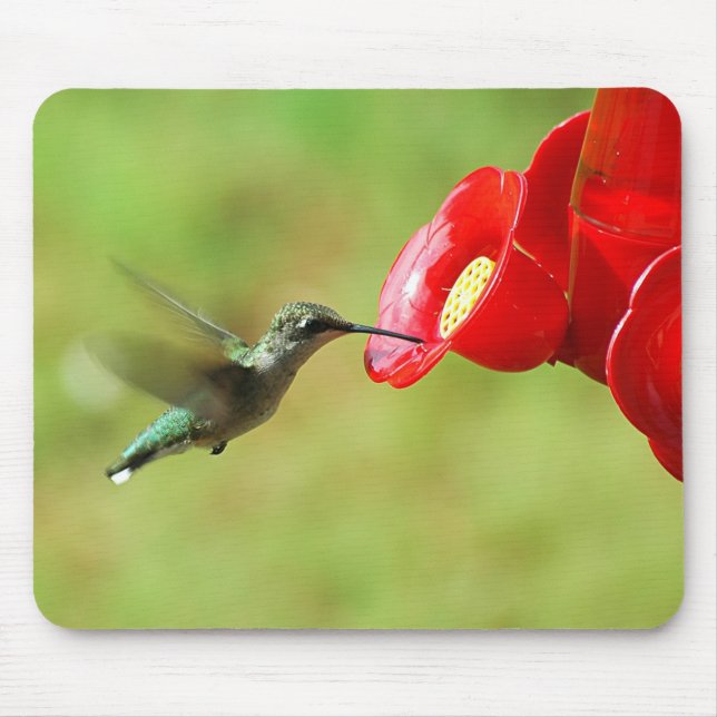 Mousepad Bela alimentação de beija-flor (Frente)