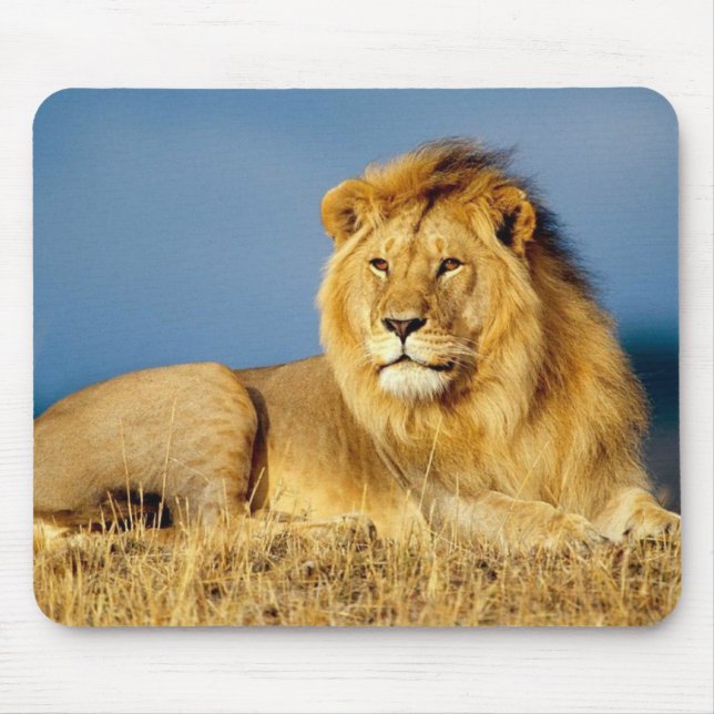 Mousepad Bela Almofada de Rato Leão (Frente)