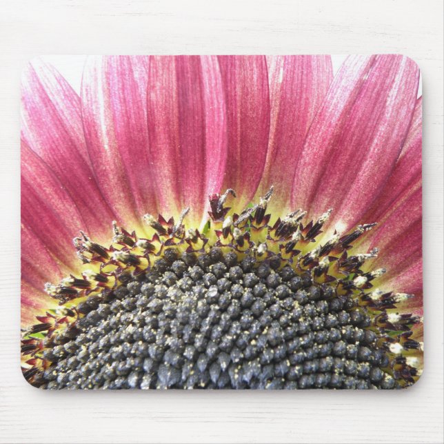 Mousepad Bela Boca-Sol Rosa (Frente)