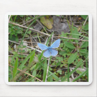 Mousepad Bela Borboleta Azul