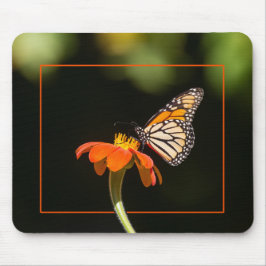 Mousepad Bela Borboleta Monarca