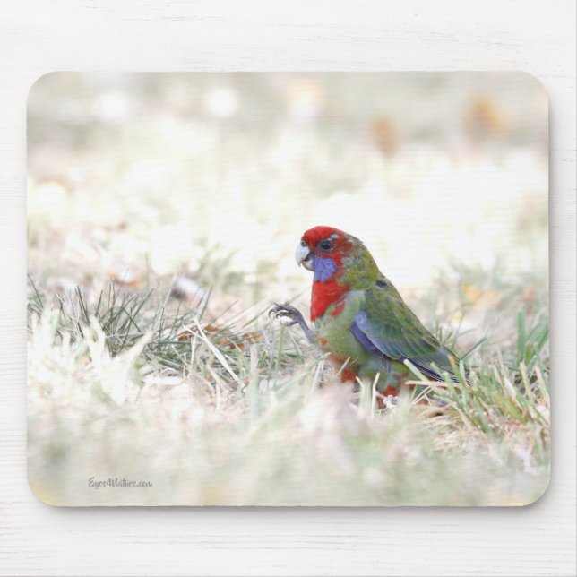 Mousepad Bela Crimson (Frente)
