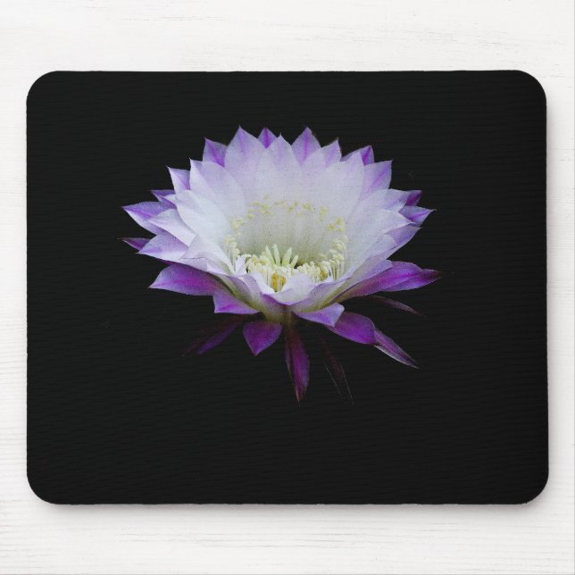 Mousepad Bela da bola, cacto noturno florescente (Frente)