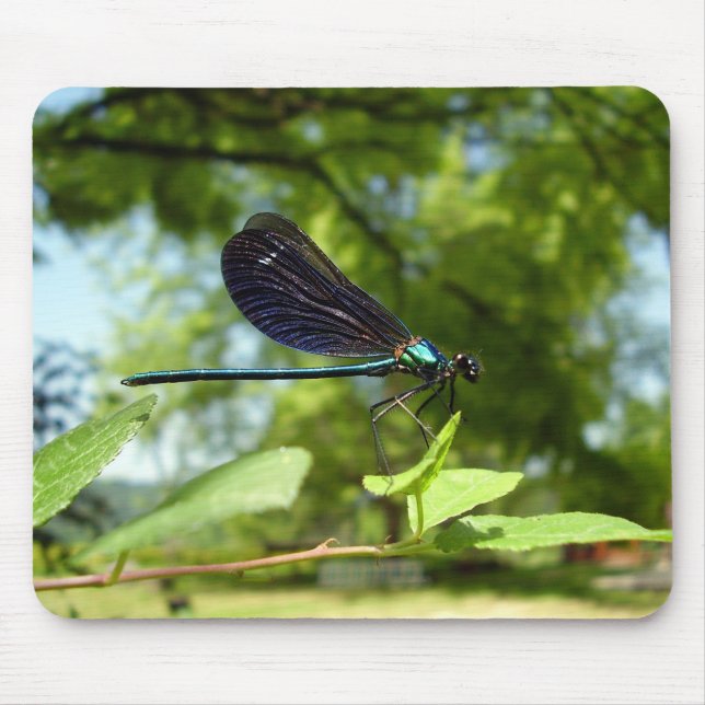 Mousepad Bela Demoiselle Mouse Mat (Frente)
