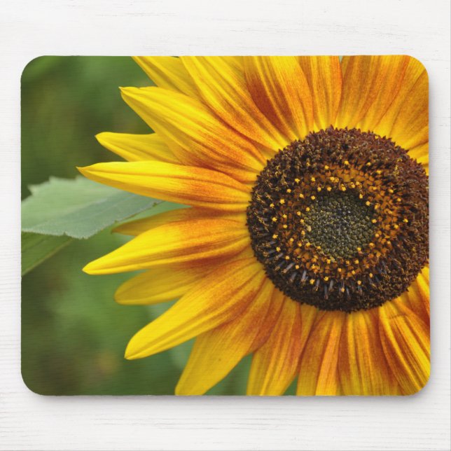 Mousepad Bela girassol (Frente)
