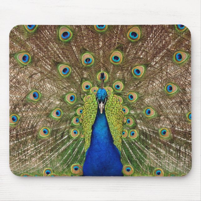 Mousepad Bela pavão e penas impressão (Frente)