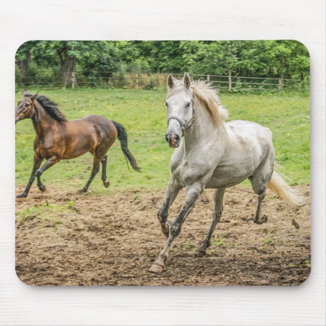Mousepad Bela Planta De Rato De Cavalo (Frente)