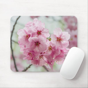 Mousepad Bela primavera: Fotografia do Flor de Cereja