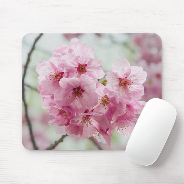 Mousepad Bela primavera: Fotografia do Flor de Cereja (Com mouse)